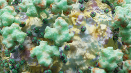 SUPER MODEL SERVICES 3D