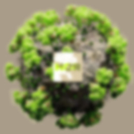 SUPER MODEL SERVICES 3D