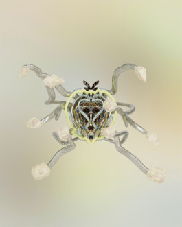 SUPER MODEL SERVICES 3D