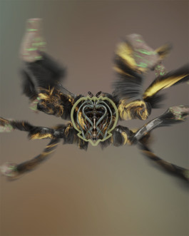 SUPER MODEL SERVICES 3D