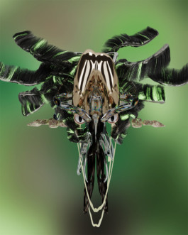 SUPER MODEL SERVICES 3D