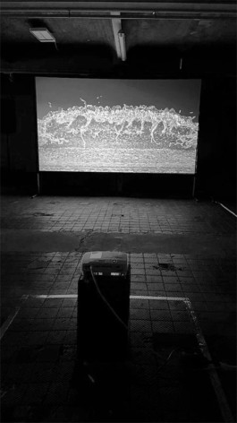 SUPER MODEL SERVICES 3D