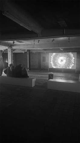 SUPER MODEL SERVICES 3D