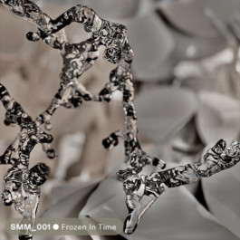 SUPER MODEL SERVICES 3D