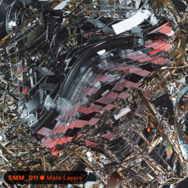 SUPER MODEL SERVICES 3D