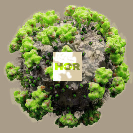 SUPER MODEL SERVICES 3D