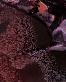 artwork SMS3D , super model services 3d , afterlife ibiza party season 2023 , anyma , tale of us , light purple blossom coral