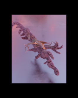 cgi 3d artwork by sms3d for afterlife ibiza season 2023, anyma, tale of us, geometry nodes blender