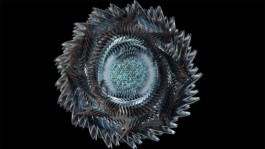 artwory by sms3d for afterlife and tale of us and anyma at ibiza party season 2023, hi ibiza, ushuaia, ice flower, geometry nodes blender