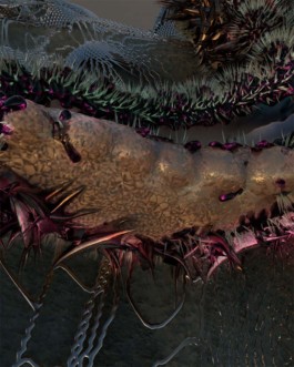 artwork by SMS3D . super model services 3d , for afterlife ibiza party season, raytracing 3d rendering , starfish , chrome , anyma , tale of us , hii ibiza